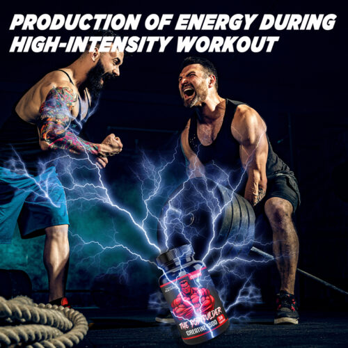 HEALTHPRIME LABS The Bodybuilder Micronised Creatine Monohydrate